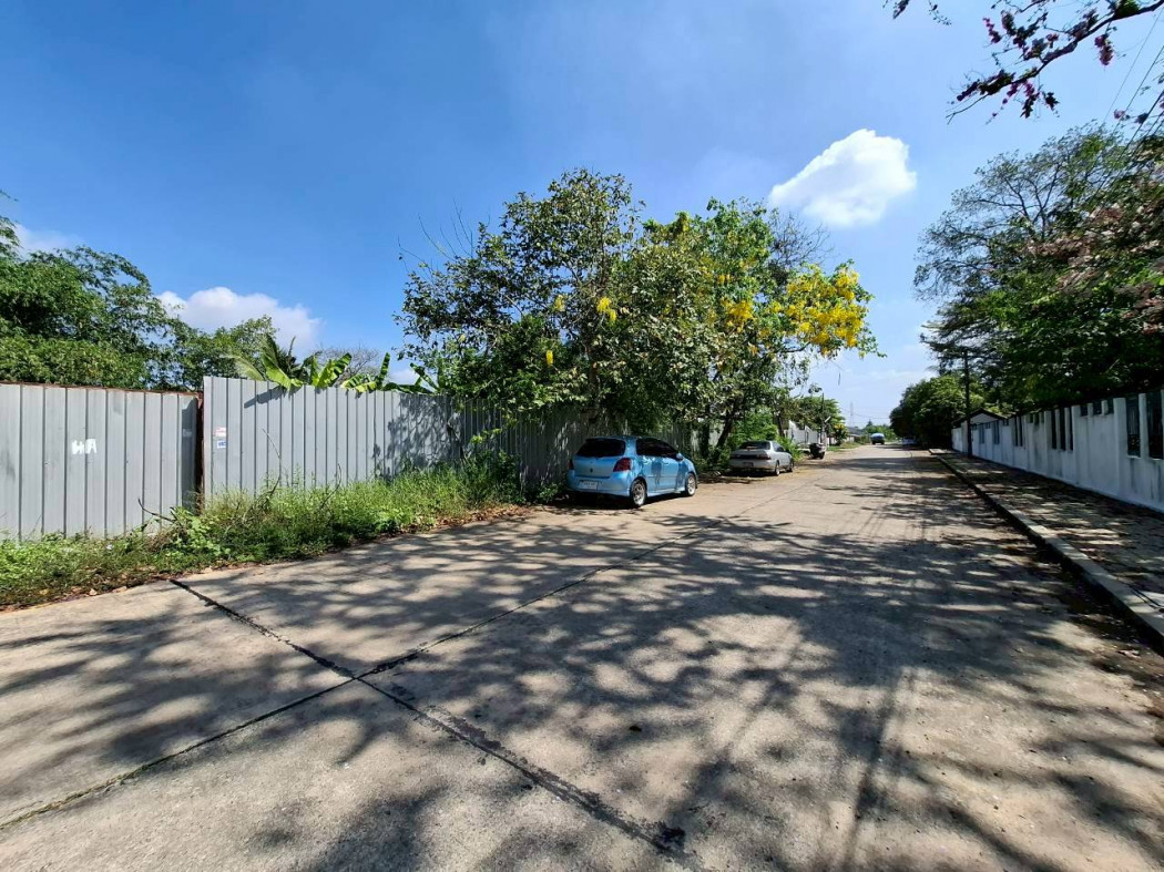 ขาย ที่ดิน ซอยรวมญาติ 4 ไร่ ใกล้ ถ.บางบอน3 แค่ 700 ม. DD – รูปที่ 2