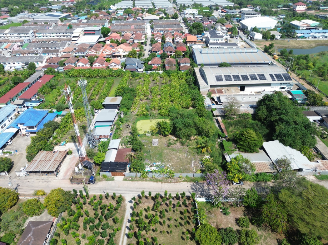 ขาย ที่ดิน ซอยรวมญาติ 4 ไร่ ใกล้ ถ.บางบอน3 แค่ 700 ม. DD – รูปที่ 4