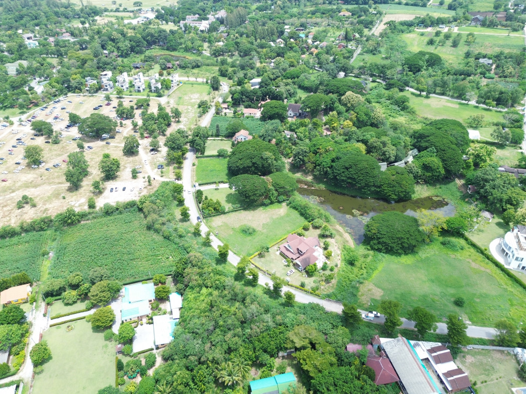 ขาย ที่ดิน โบนันซ่า เขาใหญ่ ต.​ขนงพระ​ อ.ปากช่อง 546 ตรว – รูปที่ 3