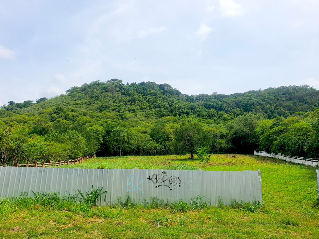 ขาย ที่ดิน เขาใหญ่ ต.​ปากช่อง​  อ.ปากช่อง 792 ตรว ที่ เป็นเนิน เห็นวิว 180 องศา​ – รูปที่ 4
