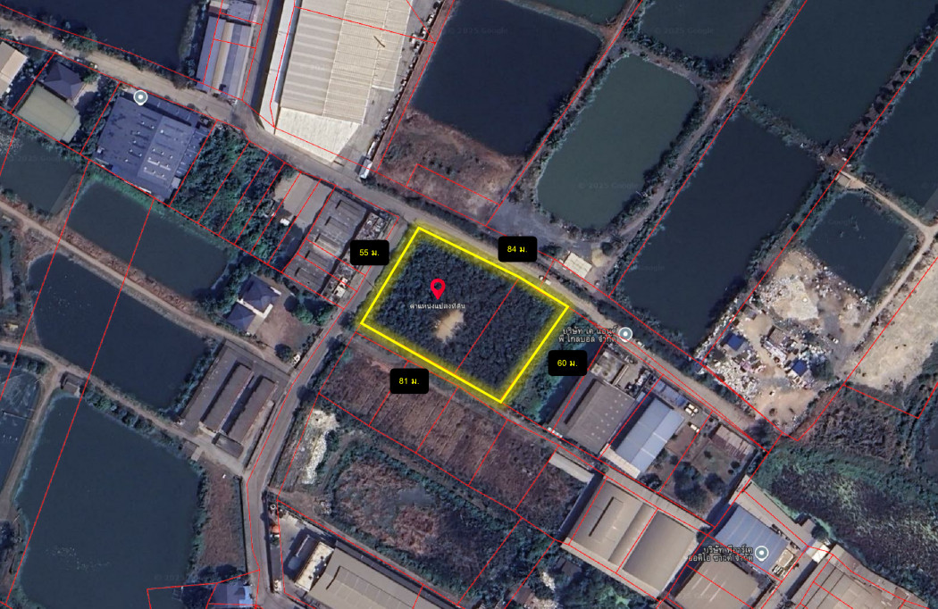ขาย ที่ดิน คอกกระบือ สมุทรสาคร 2 ไร่ 3 งาน 15 ตรว ใกล้ ถ.เอกชัยแค่ 3.1 กม. KK – รูปที่ 3