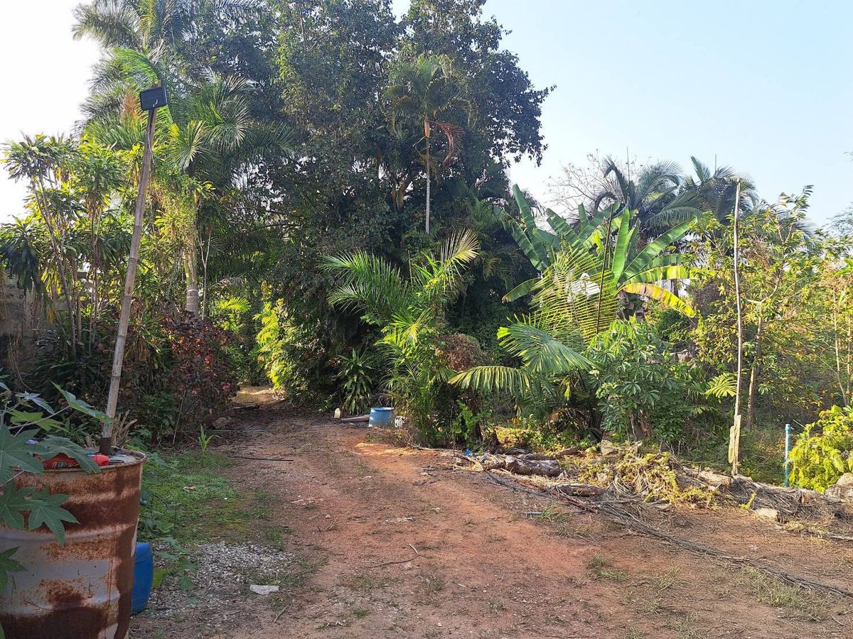 JK 5185834: Outside the Chiang Mai project – รูปที่ 4