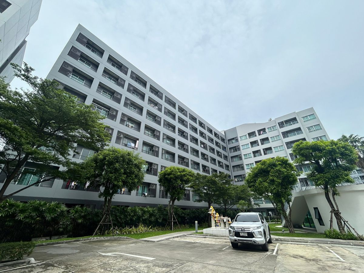 JK 5300763 : เอลลิโอ เดล เรย์ สุขุมวิท 64 – รูปที่ 2