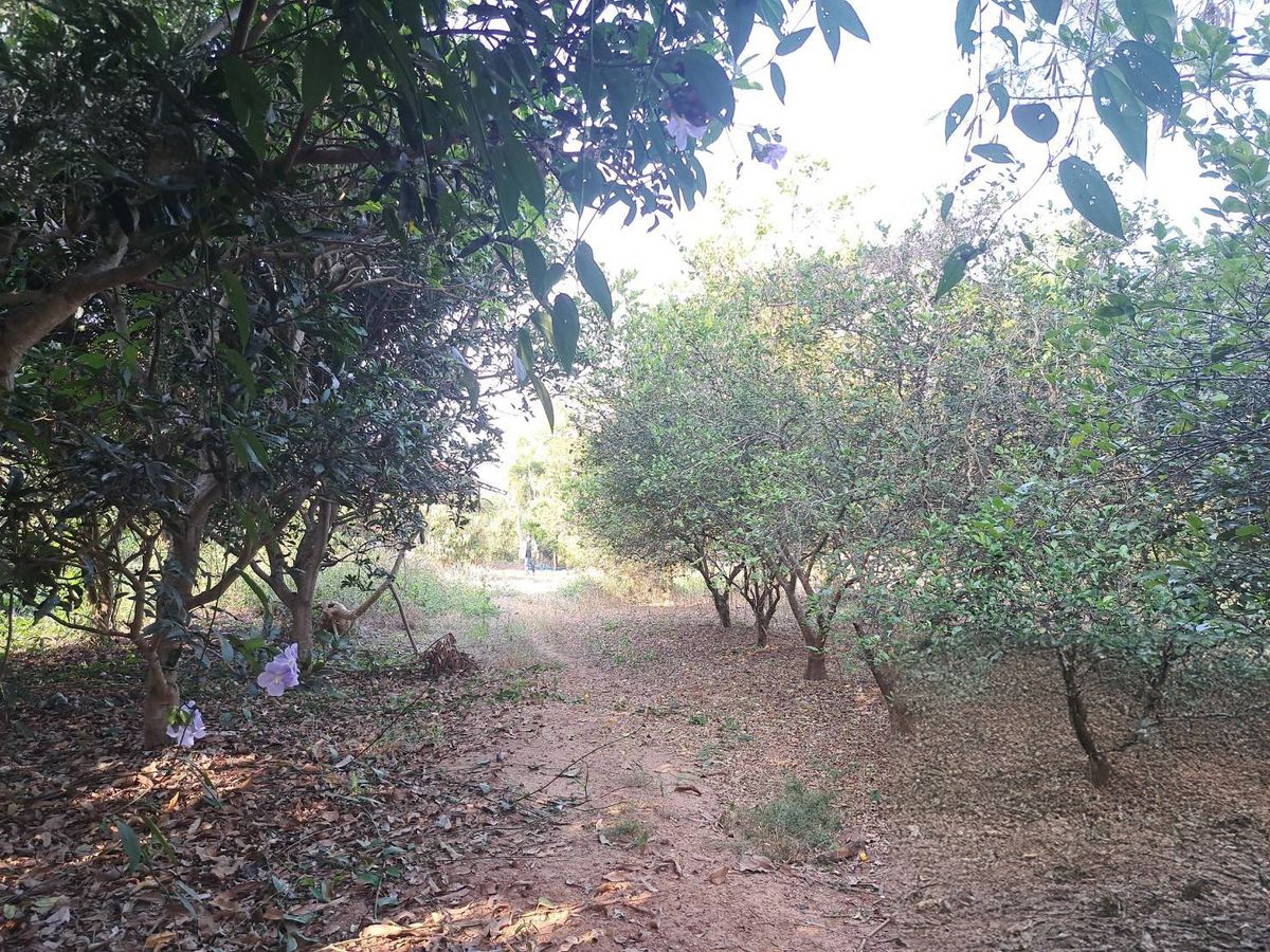 JK 5185834: Outside the Chiang Mai project – รูปที่ 2