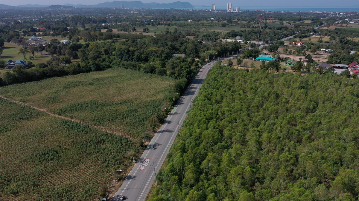ขายที่ดิน 169 ไร่ ห้วยใหญ่ พัทยา ตรงข้าม Phoenix Golf & Country Club ใกล้ EEC