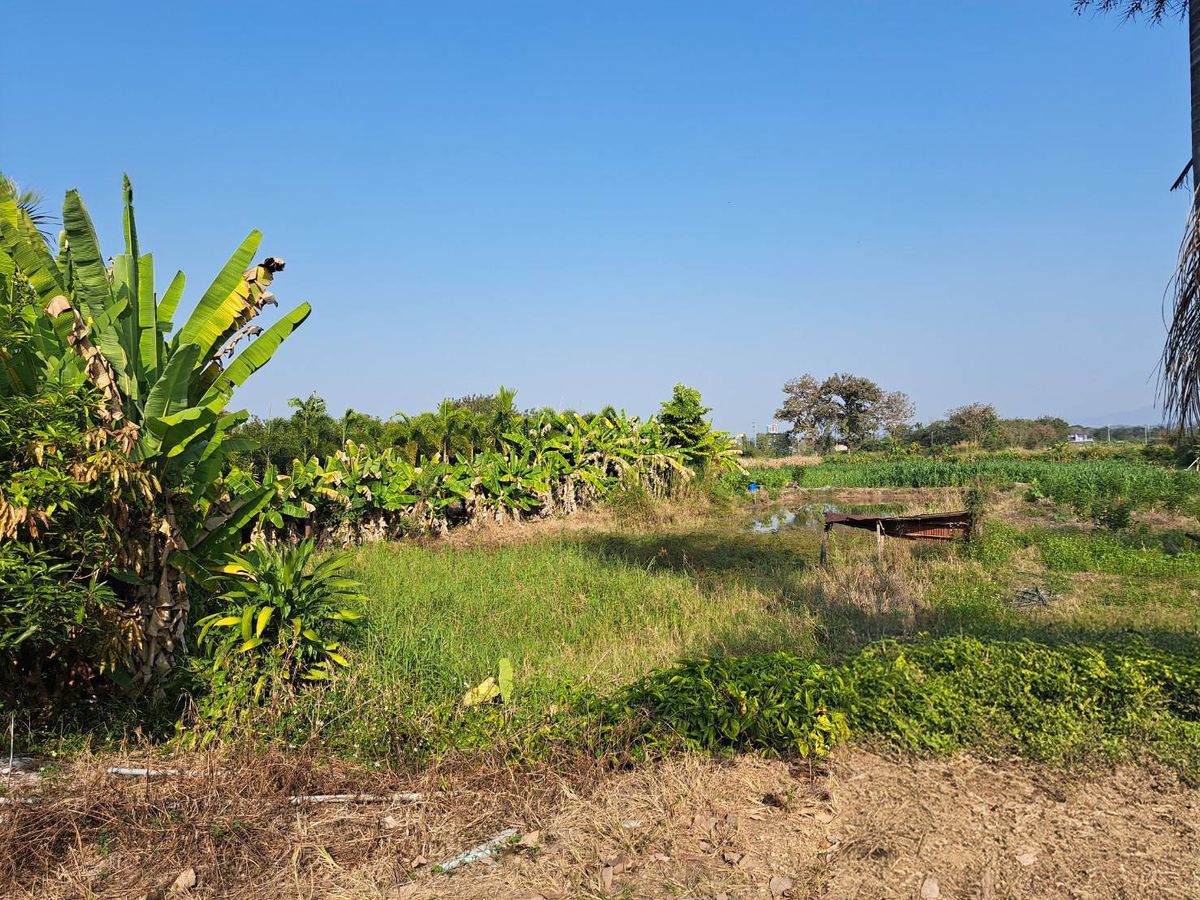 JK 5185834: Outside the Chiang Mai project – รูปที่ 3