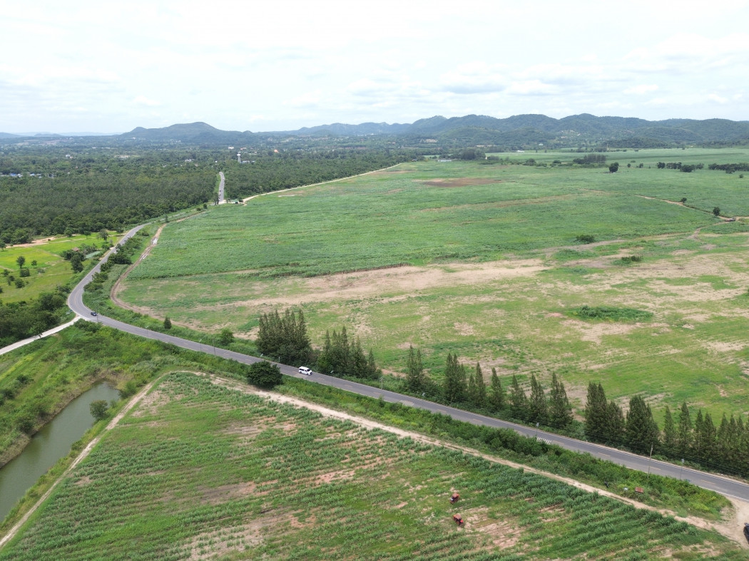 ขาย ที่ดิน เขาใหญ่ ต.​ขนงพระ​​ อ.ปากช่อง 1100 ไร่ ​เห็น ทิวเขา สวยสุดๆ​ – รูปที่ 3