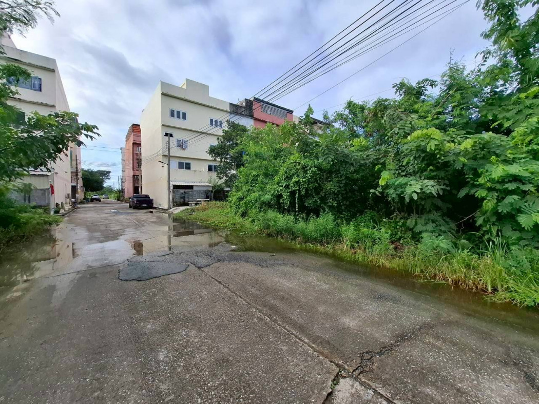 ขายถูกที่สุด ที่ดิน 203 ตรว ซอยสุขนาวี 19  ใกล้ ถ.บรมราชชนนีแค่ 750 ม. KK – รูปที่ 2