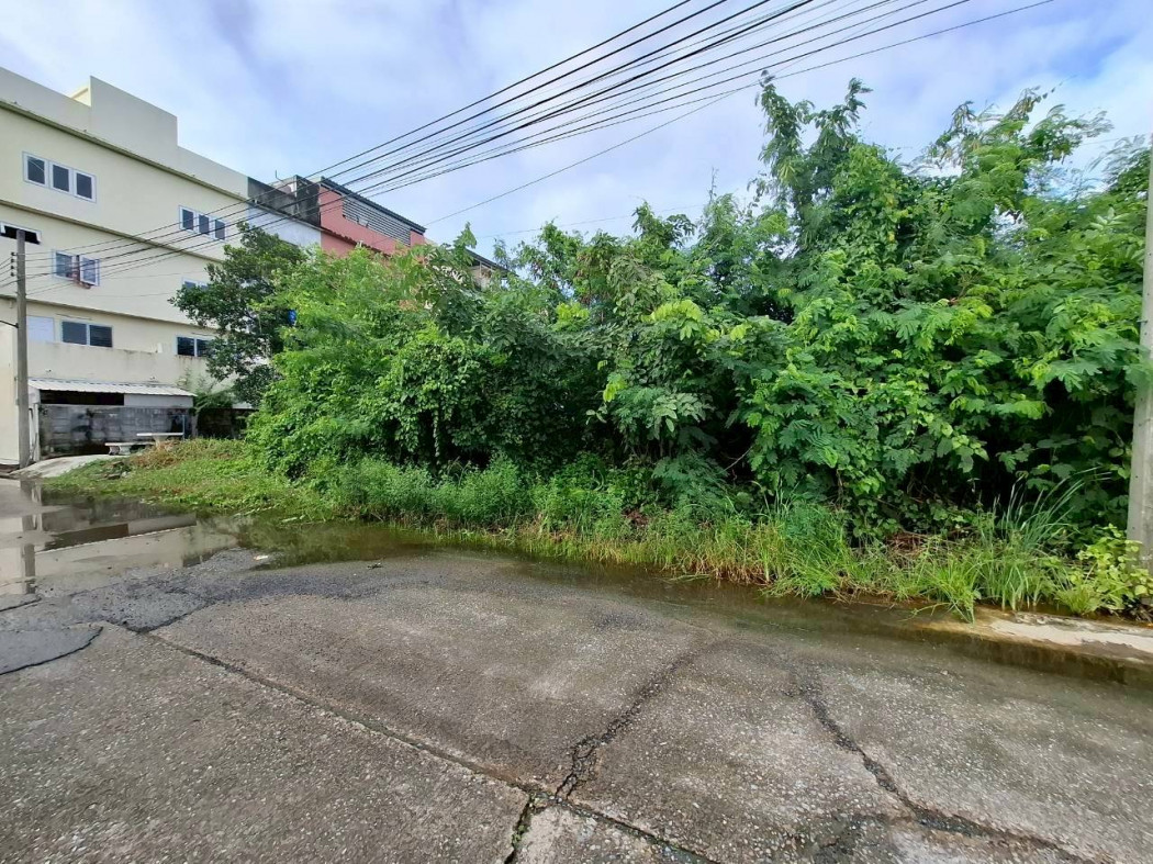 ขายถูกที่สุด ที่ดิน 203 ตรว ซอยสุขนาวี 19  ใกล้ ถ.บรมราชชนนีแค่ 750 ม. KK – รูปที่ 4