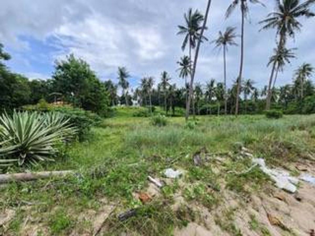 ขายที่ดิน ติดทะเล หาดสวนหลวง ตำบล พงศ์ประศาสน์ บางสะพาน ประจวบคีรีขันธ์  หน้ากว้างติดทะเล 80 เมตร ด้านหลังติดถนน เนื้อที่ 11-1-90 ไร่ – รูปที่ 3
