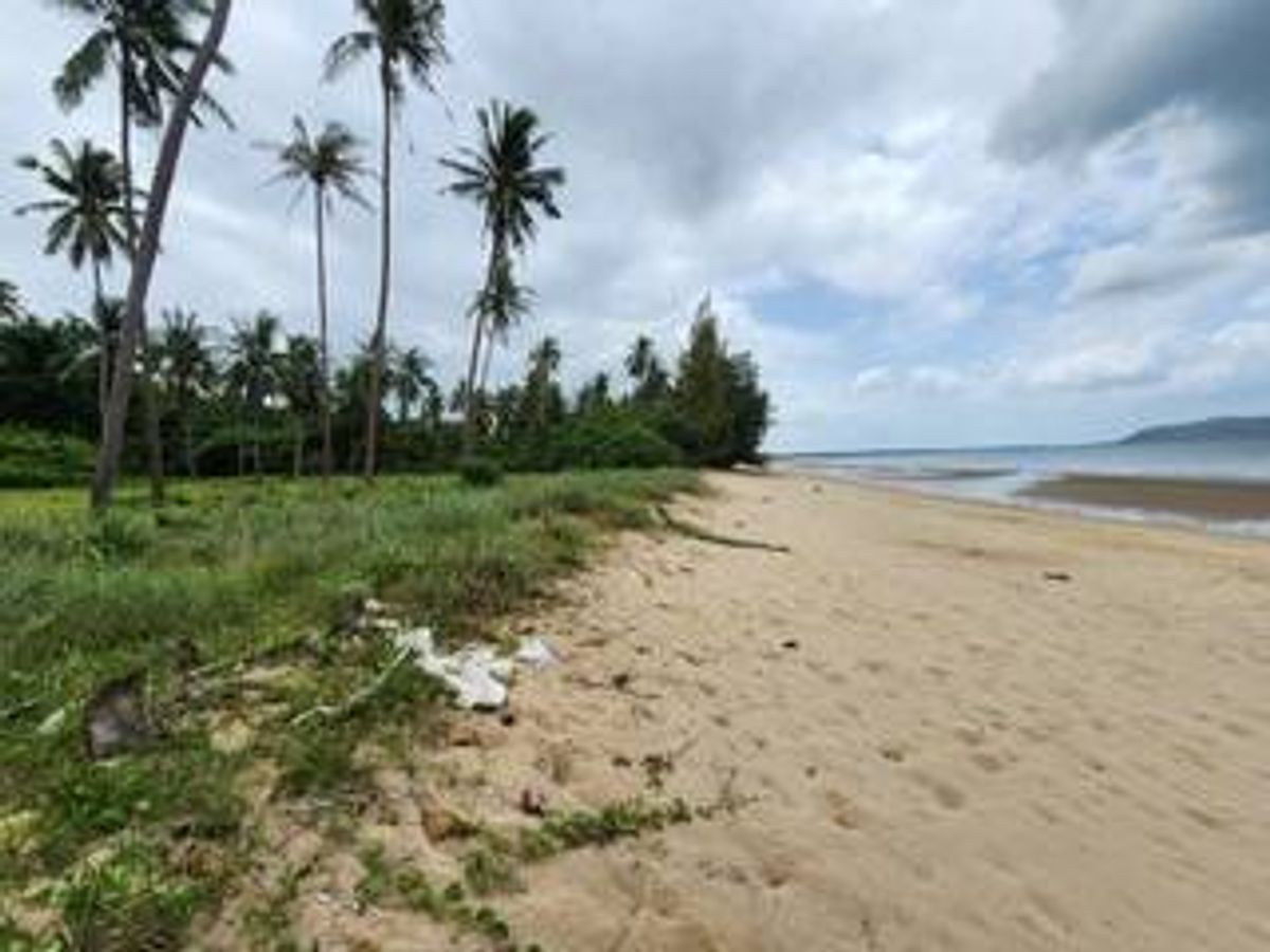 ขายที่ดิน ติดทะเล หาดสวนหลวง ตำบล พงศ์ประศาสน์ บางสะพาน ประจวบคีรีขันธ์  หน้ากว้างติดทะเล 80 เมตร ด้านหลังติดถนน เนื้อที่ 11-1-90 ไร่