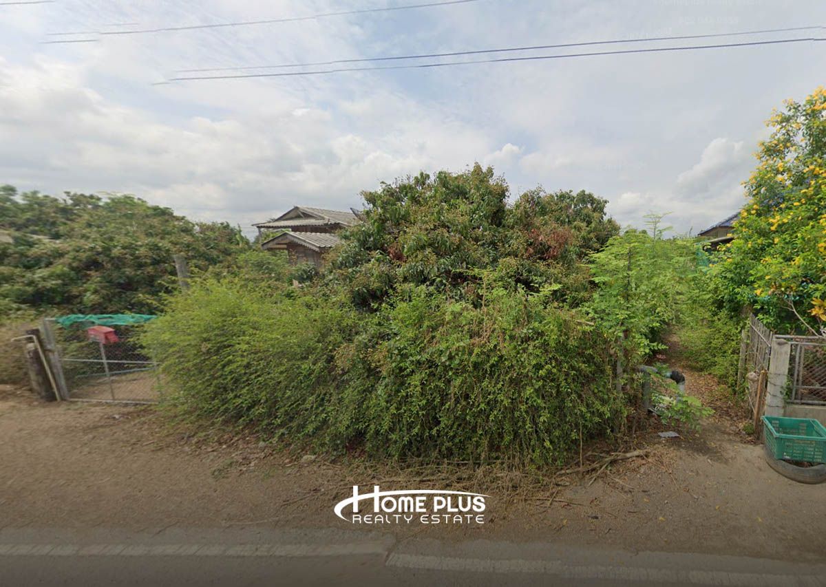 🌳 Land for sale with longan garden, Doi Lo District, Chiang Mai Province – รูปที่ 4