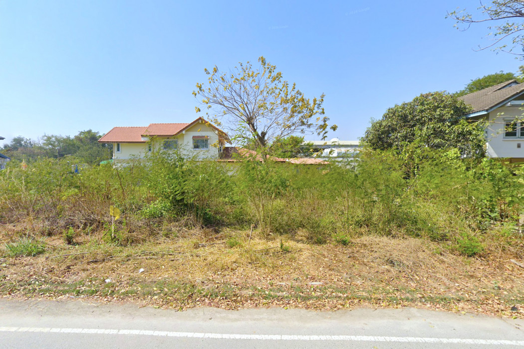 ขาย ที่ดิน ศรีษะทอง นครชัยศรี นครปฐม 140 ตรว ใกล้ถ.เพชรเกษมแค่ 150 ม. KK – รูปที่ 3