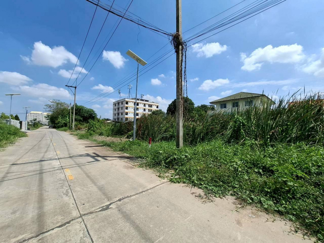 Land for sale, Khlong Luang 8/6, size 354 sq m, near Phahonyothin Road, just 850 meters. DD – รูปที่ 2