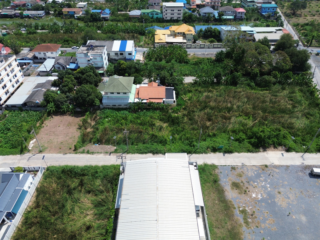 Land for sale, Khlong Luang 8/6, size 354 sq m, near Phahonyothin Road, just 850 meters. DD – รูปที่ 4