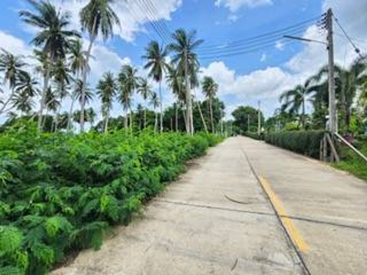 ขายที่ดิน ติดทะเล หาดสวนหลวง ตำบล พงศ์ประศาสน์ บางสะพาน ประจวบคีรีขันธ์  หน้ากว้างติดทะเล 80 เมตร ด้านหลังติดถนน เนื้อที่ 11-1-90 ไร่ – รูปที่ 4