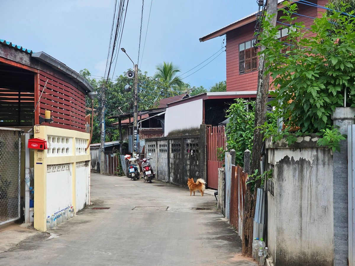 JK 5676174: Outside the Nakhon Ratchasima project – รูปที่ 3