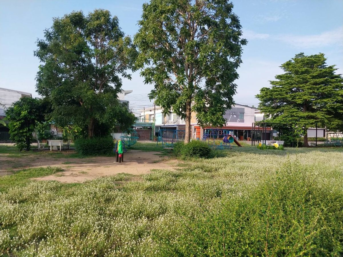 JK 4913789: The Fusion Ayutthaya – รูปที่ 3