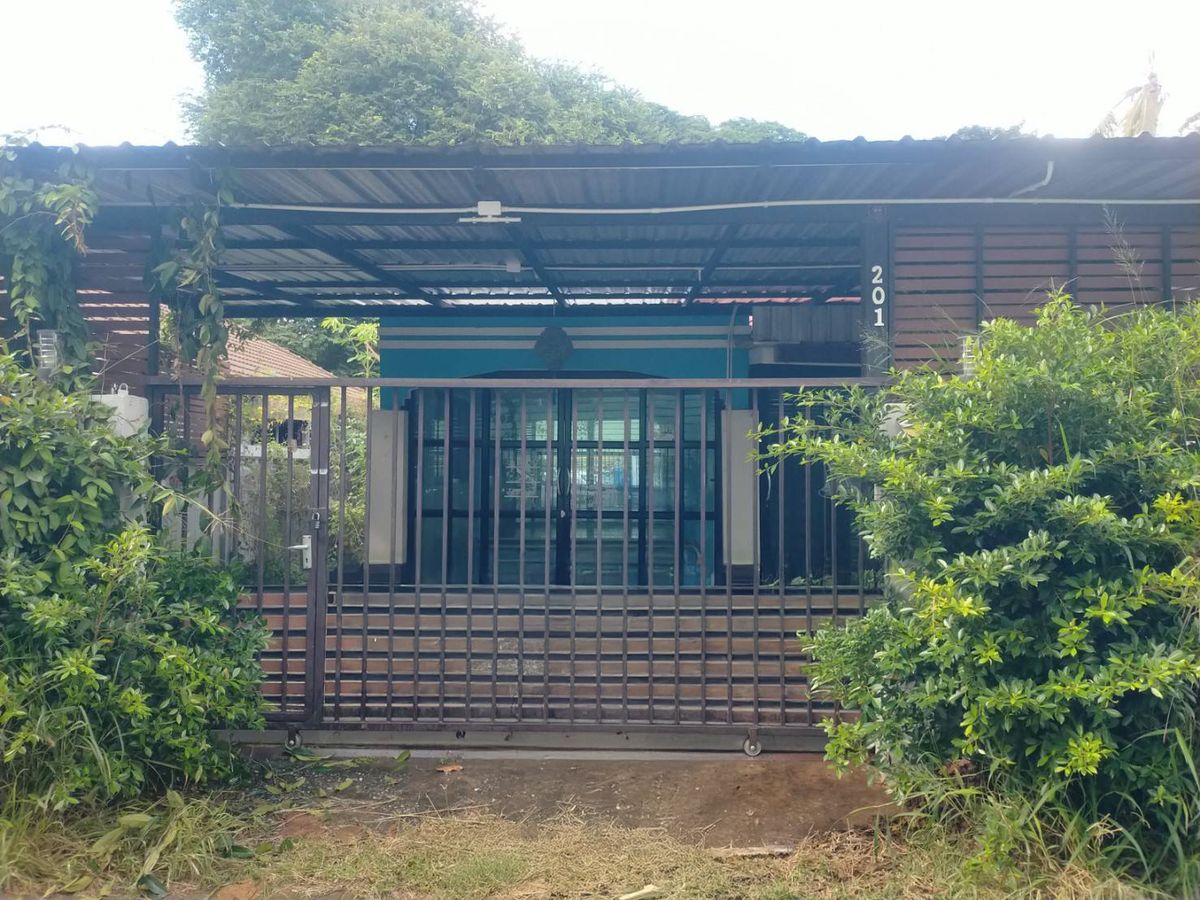 JK 6436862: Out of Nakhon Ratchasima Project
