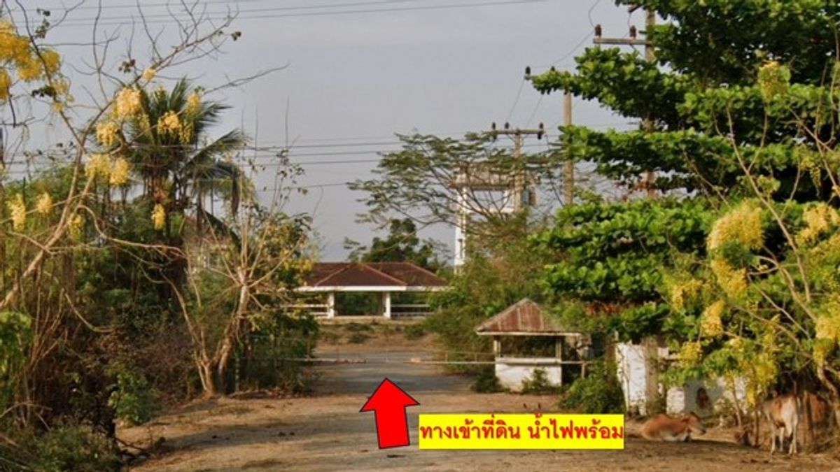 Land for sale 1 rai 24 sq.w. Ton Kamphao Subdistrict, Mueang Phetchaburi District 🌿 Good location near Petchkasem Road And Kaeng Krachan National Park