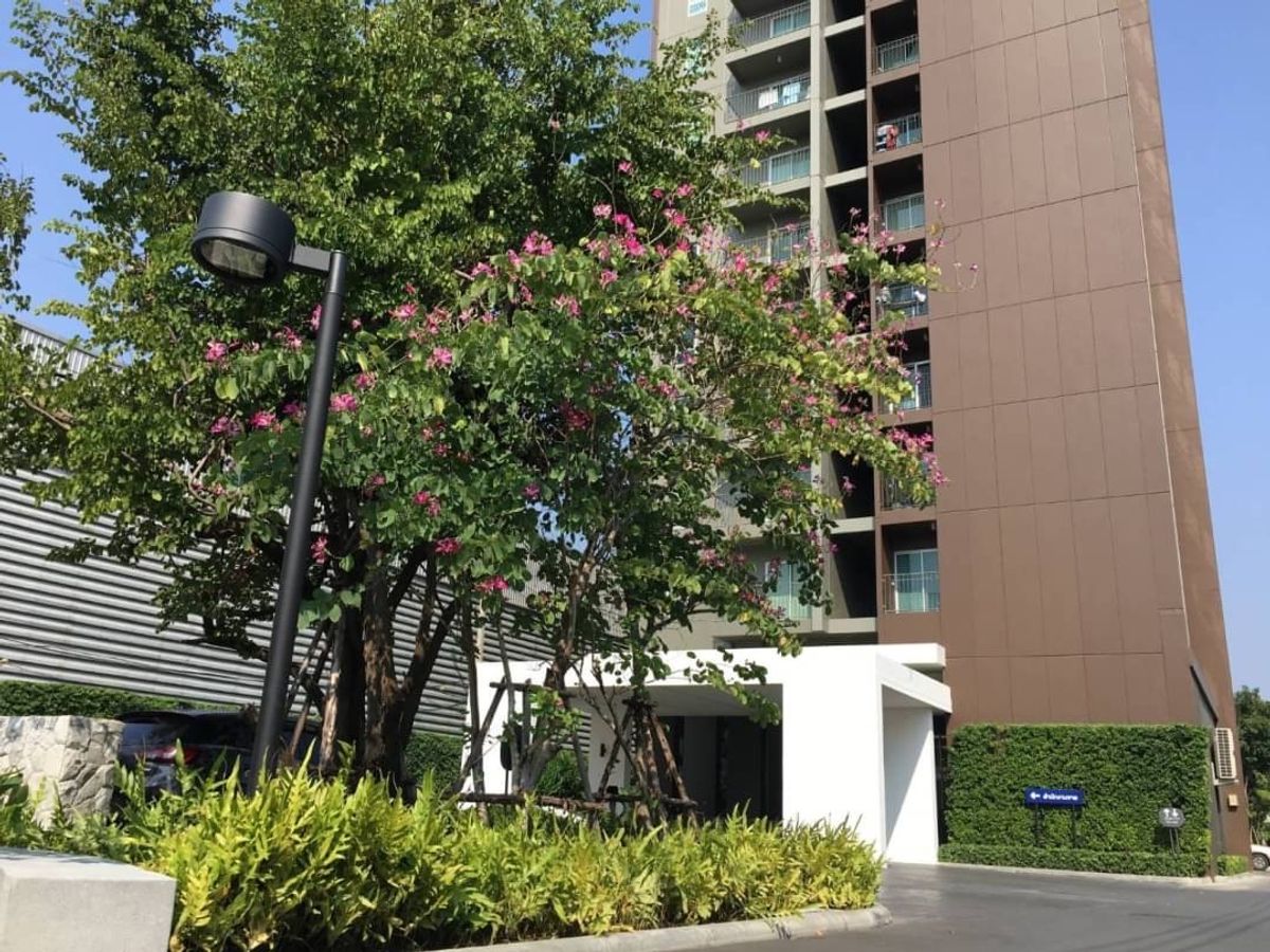 ขาย คอนโด ยู ดีไลท์ รัชวิภา (U Delight Ratchavibha)  ชั้น 20  วิวเมือง ตรงข้ามวัดเสมียนนาราคาขาย  2.48 ล้านบาท                    – รูปที่ 3