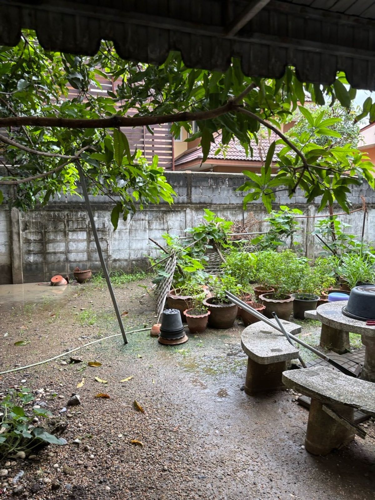 🏡 Land for sale 132 sq.m. with Thai single house In the heart of Lat Pla! Next to the Lat Pla Khao station, only 200 meters. Easy to travel. Rare gold location! 🏡 Land for sale 132 sq.m. with Thai single house In the heart of Lat Pla! Next to the Lat Pla Khao station, only 200 meters. Easy to travel. Rare gold location!
