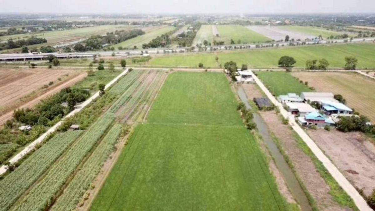 sss511 Land for sale in Khlong 3, Khlong Luang, 52 rai, 100 meters from the motorway. Line:  @956uovqp – รูปที่ 4