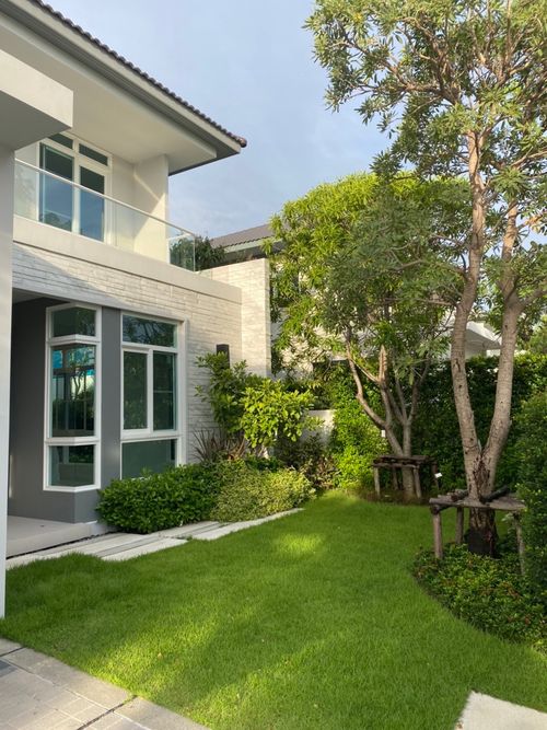 Rent a detached house, Manthana, Bang Na-Ring (Soi Ram 2), modern single house (TH8-01525)