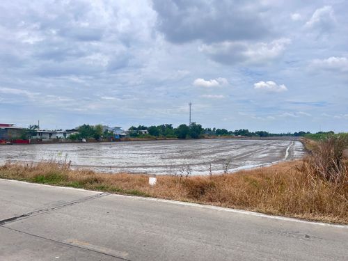 sss511 Land for sale in Khlong 3, Khlong Luang, 52 rai, 100 meters from the motorway. Line:  @956uovqp