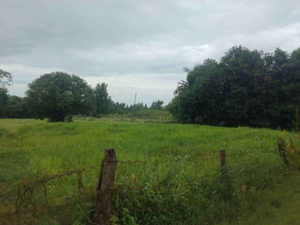 JK 5552268: Empty Land, Nakhon Phanom – รูปที่ 4