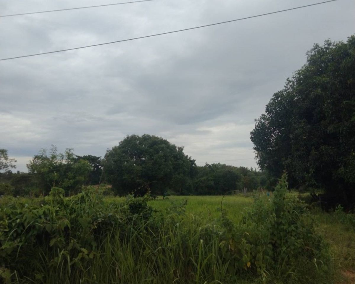 JK 5552268: Empty Land, Nakhon Phanom – รูปที่ 2