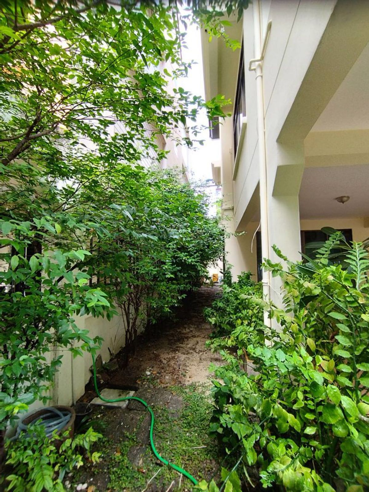 ให้เช่าบ้านเดี่ยว 4ชั้น ในซอยสุขุมวิท31 แยก2 – รูปที่ 4