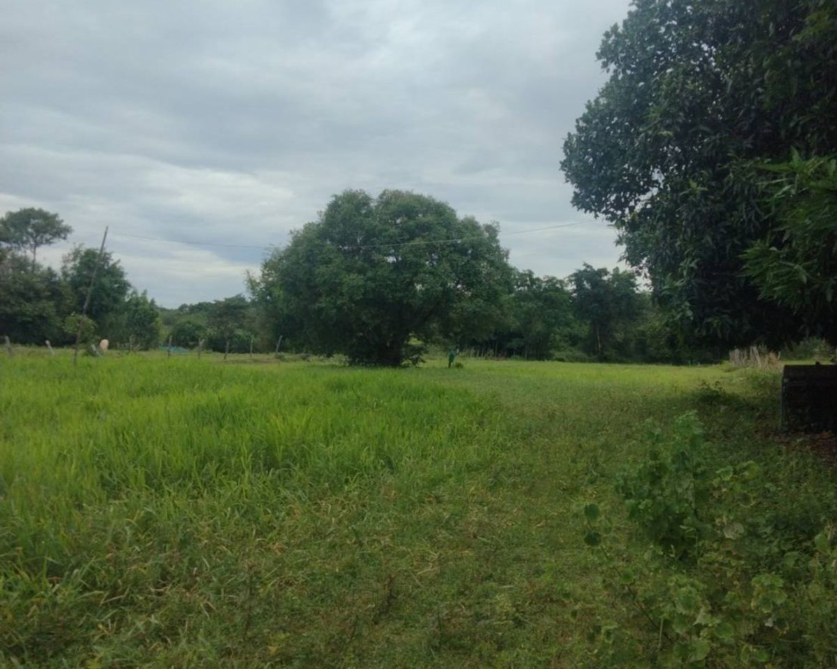 JK 5552268: Empty Land, Nakhon Phanom – รูปที่ 3