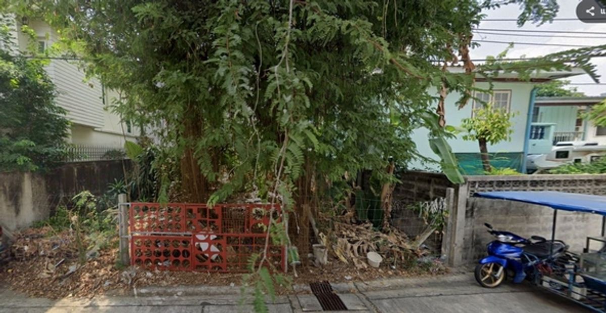 42 square meters of land for sale. 42 square meters of land for sale.