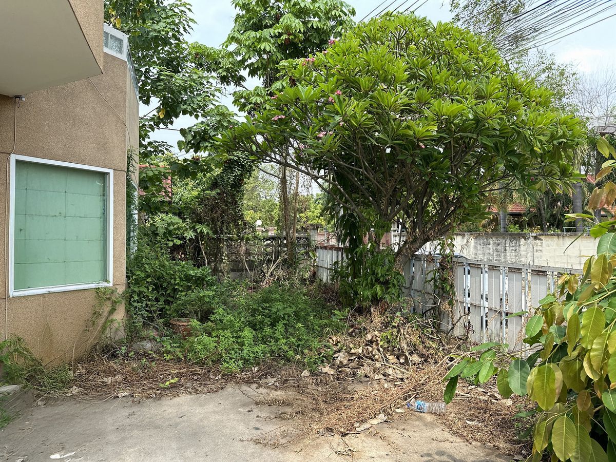 JK 2788389 : นอกโครงการเชียงใหม่ – รูปที่ 2