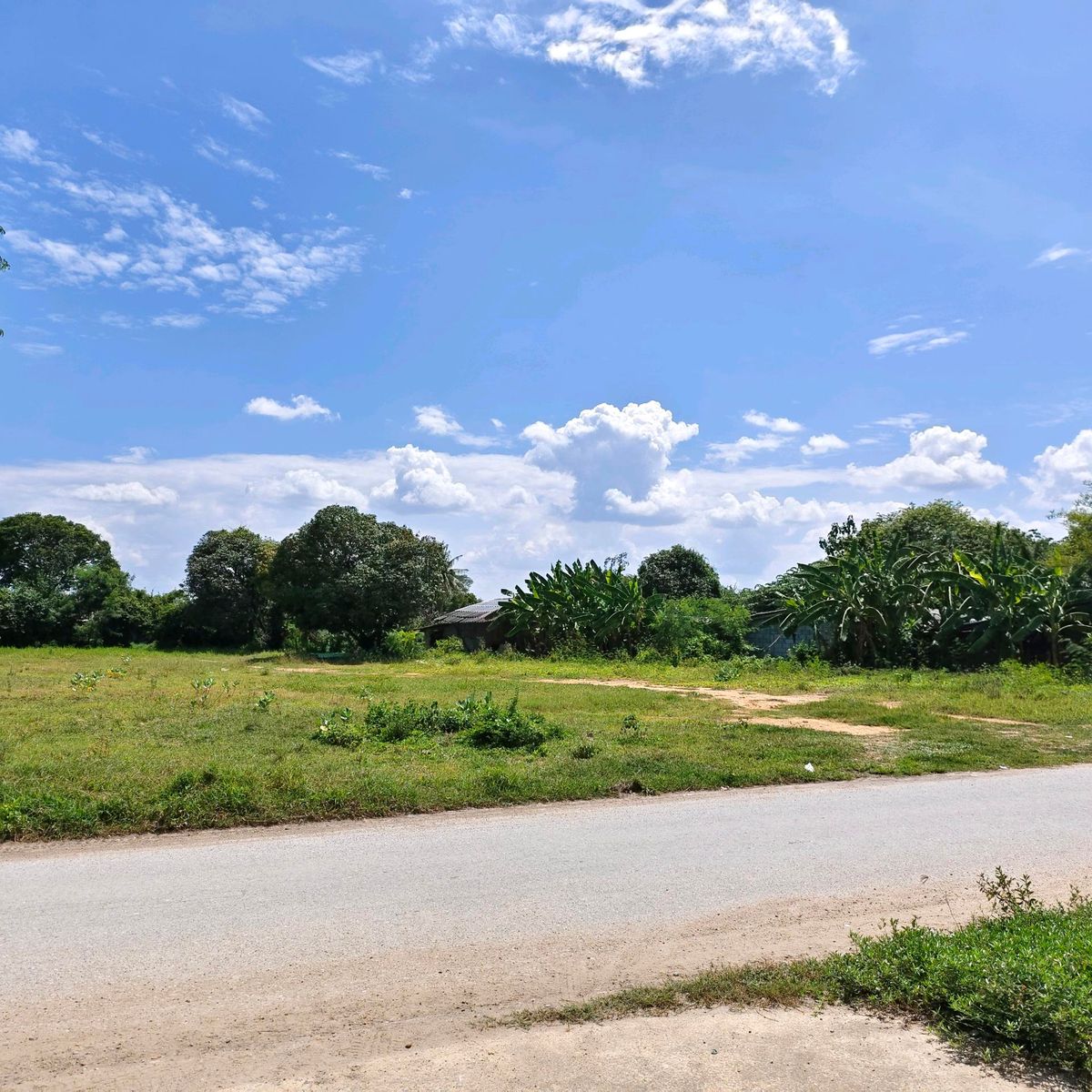 1 rai 1 rai of land to 2 and a half rai, Thung Luk Nok District, Kamphaeng Saen District, Nakhon Pathom Province – รูปที่ 4