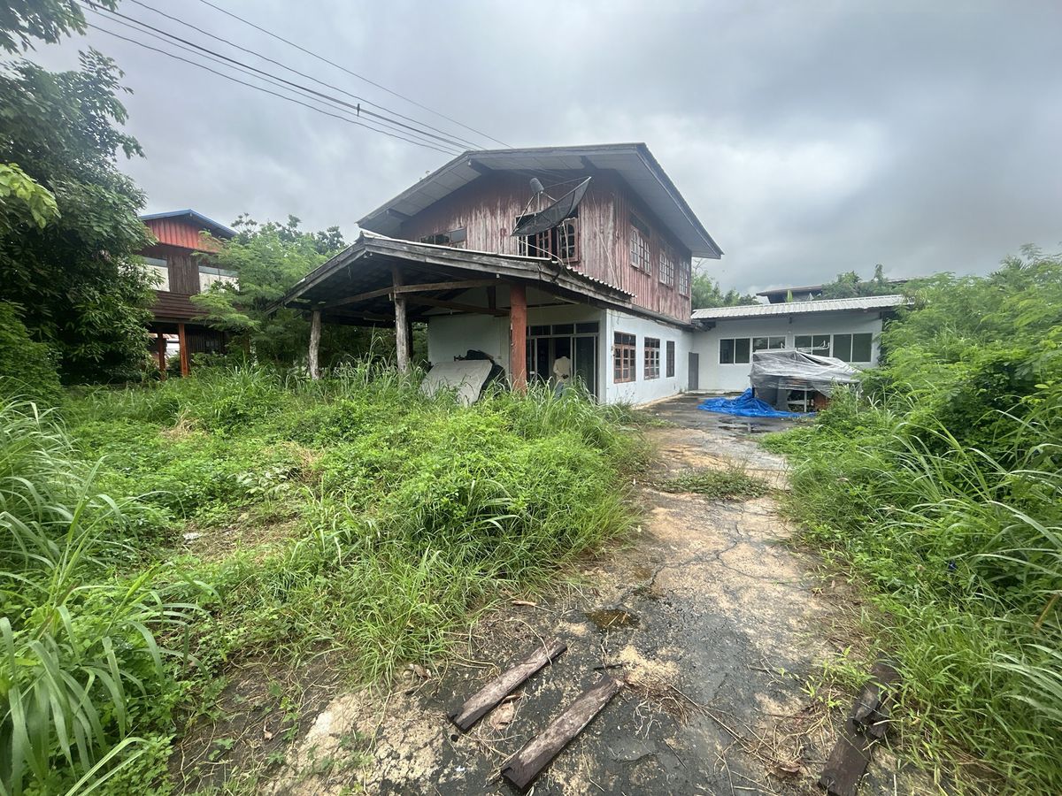 JK 6144738 : นอกโครงการยโสธร – รูปที่ 2