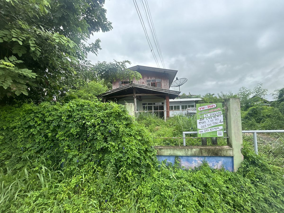 JK 6144738 : นอกโครงการยโสธร JK 6144738 : นอกโครงการยโสธร