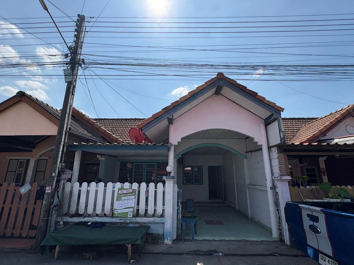 JK 5375158: Vanda 2 JK 5375158: Vanda 2
