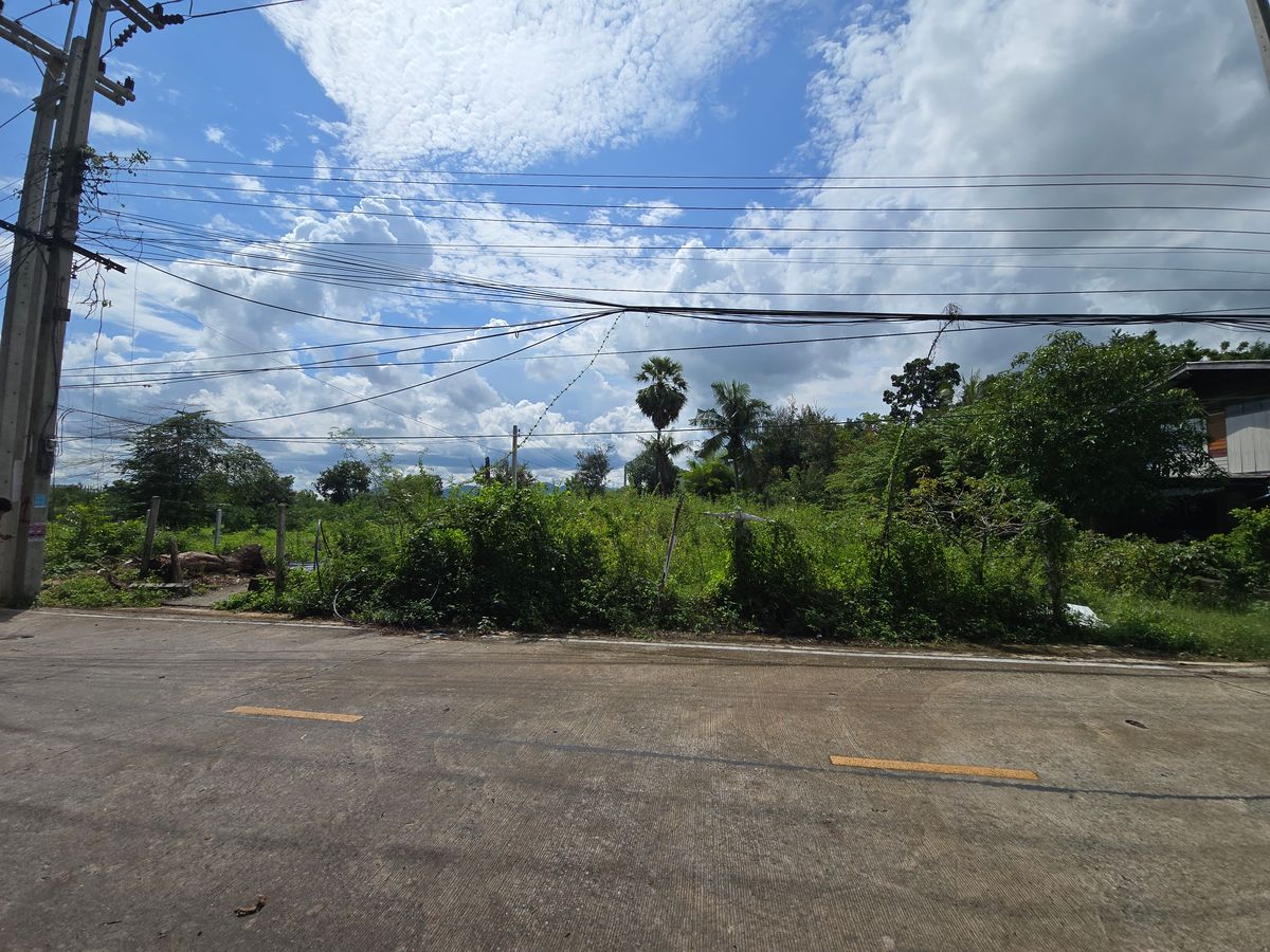 ขายด่วน ที่ดินถมแล้ว 100 ตรว.ราคาดีที่สุดในชะอำ ใกล้ทะเล เพชรบุรี – รูปที่ 2