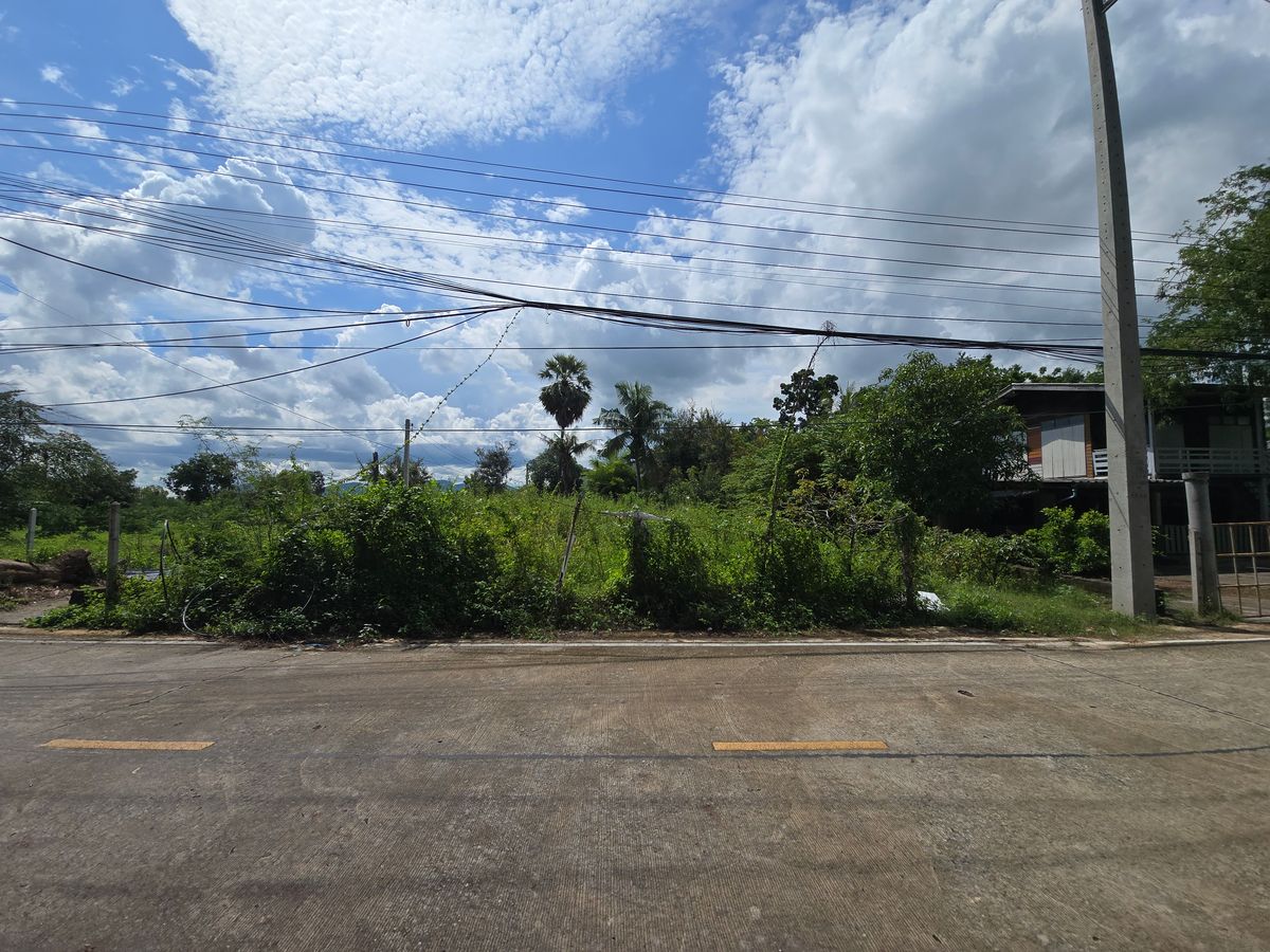 ขายด่วน ที่ดินถมแล้ว 100 ตรว.ราคาดีที่สุดในชะอำ ใกล้ทะเล เพชรบุรี ขายด่วน ที่ดินถมแล้ว 100 ตรว.ราคาดีที่สุดในชะอำ ใกล้ทะเล เพชรบุรี