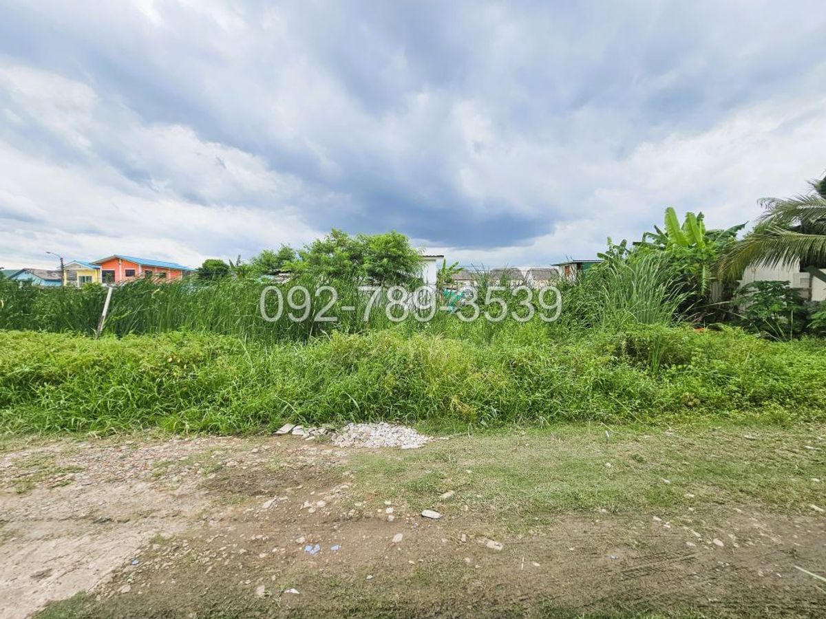 ขายที่ดิน สายไหม 72 แปลงเล็ก 50 ตร.วา เหมาะปลูกบ้าน ราคาถูกมาก รีบจองด่วน ขายที่ดิน สายไหม 72 แปลงเล็ก 50 ตร.วา เหมาะปลูกบ้าน ราคาถูกมาก รีบจองด่วน