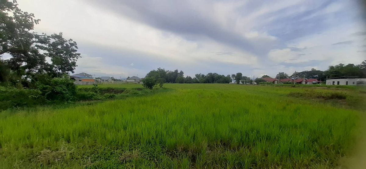 ขายที่ดิน ดอยสะเก็ด บรรยากาศดี ติดถนนคอนกรีต ใกล้ถนนสายใหม่ เนื้อที่ 2 ไร่ 139 ตร.วา อ.ดอยสะเก็ด จ.เชียงใหม่ ขายที่ดิน ดอยสะเก็ด บรรยากาศดี ติดถนนคอนกรีต ใกล้ถนนสายใหม่ เนื้อที่ 2 ไร่ 139 ตร.วา อ.ดอยสะเก็ด จ.เชียงใหม่