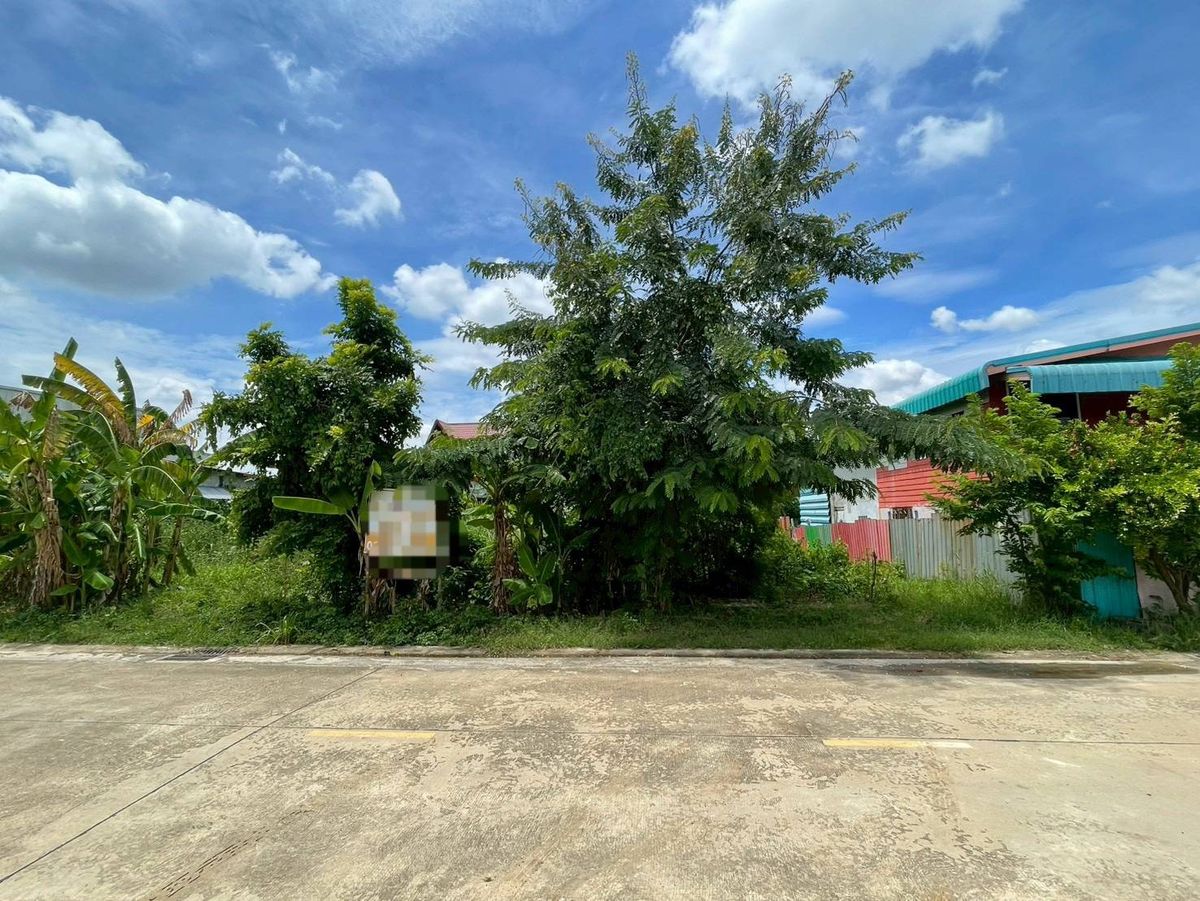 Land for sale 200 sq.m., Soi Su Sawat 18 Khlong Si, Lat Sawai Subdistrict, Lam Luk Ka District, Pathum Thani Province – รูปที่ 2