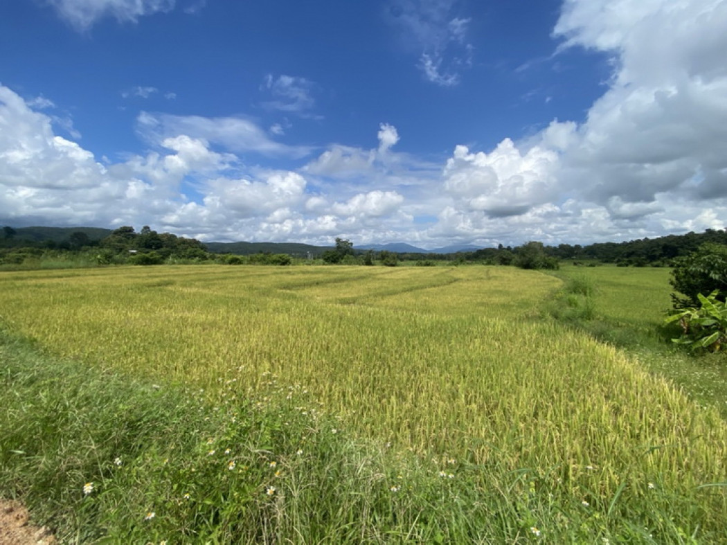 ขาย ที่ดิน โอกาสทอง! ขายที่ดินแปลงสวย วิวภูเขา มีน้ำล้อมรอบ ใกล้โรงเรียนนานาชาติแม่ริม เชียงใหม่ ที่ดินนอกโครงการ 5 ไร่ 2 งาน 28 ตรว. – รูปที่ 3