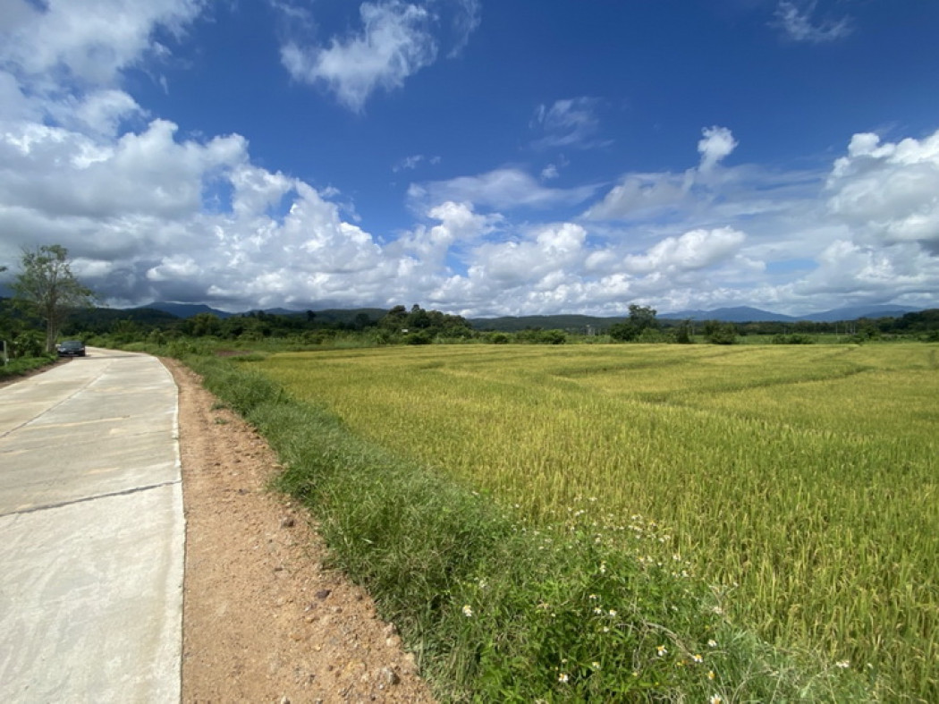 ขาย ที่ดิน โอกาสทอง! ขายที่ดินแปลงสวย วิวภูเขา มีน้ำล้อมรอบ ใกล้โรงเรียนนานาชาติแม่ริม เชียงใหม่ ที่ดินนอกโครงการ 5 ไร่ 2 งาน 28 ตรว. – รูปที่ 4