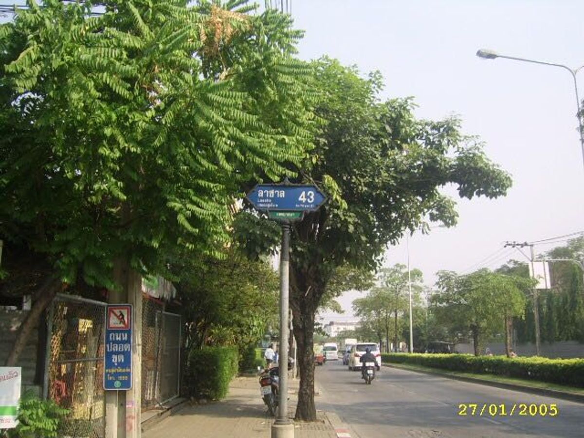 บ้าน & แอมป์; ที่ดินให้เช่าบนลาซ่า 43 – รูปที่ 3