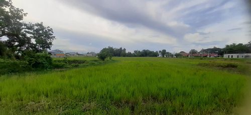 ขายที่ดิน ดอยสะเก็ด บรรยากาศดี ติดถนนคอนกรีต ใกล้ถนนสายใหม่ เนื้อที่ 2 ไร่ 139 ตร.วา อ.ดอยสะเก็ด จ.เชียงใหม่