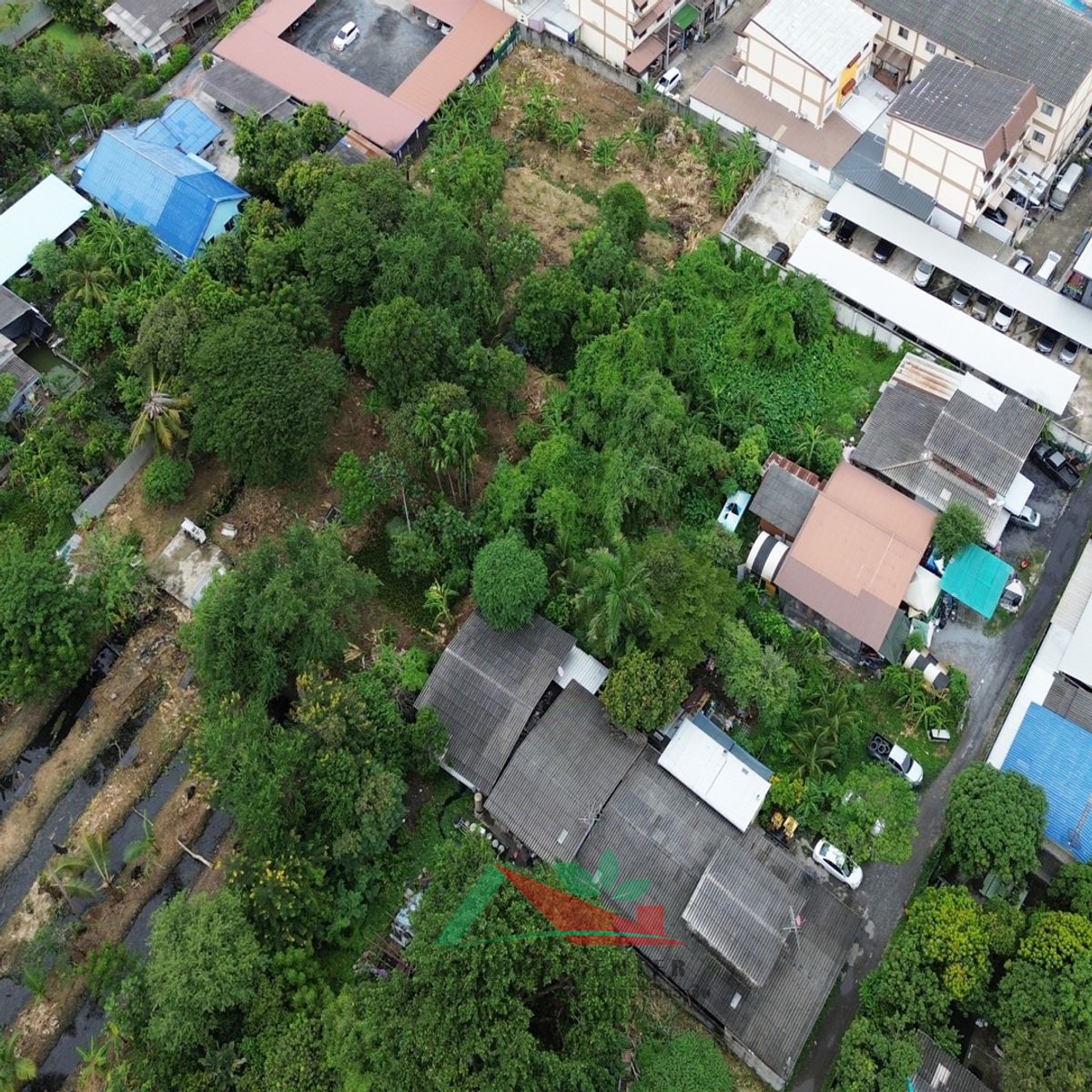 ขายที่ดิน4-0-74 ไร่ ซ.เรวดี46 ผังสีส้ม ทำเลดี ราคาพร้อมคุย – รูปที่ 2
