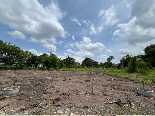 105 sq.w. Tidraj Rachan 27 / (Selling), Vacant Land 105 SQ.WAH Thoet Rachan 27 / (For Sale) TPM016